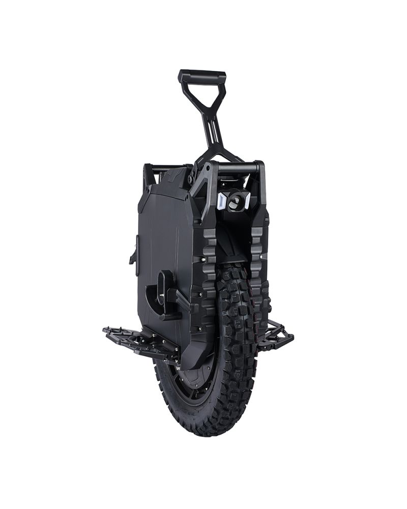 veteran Oryx - More images